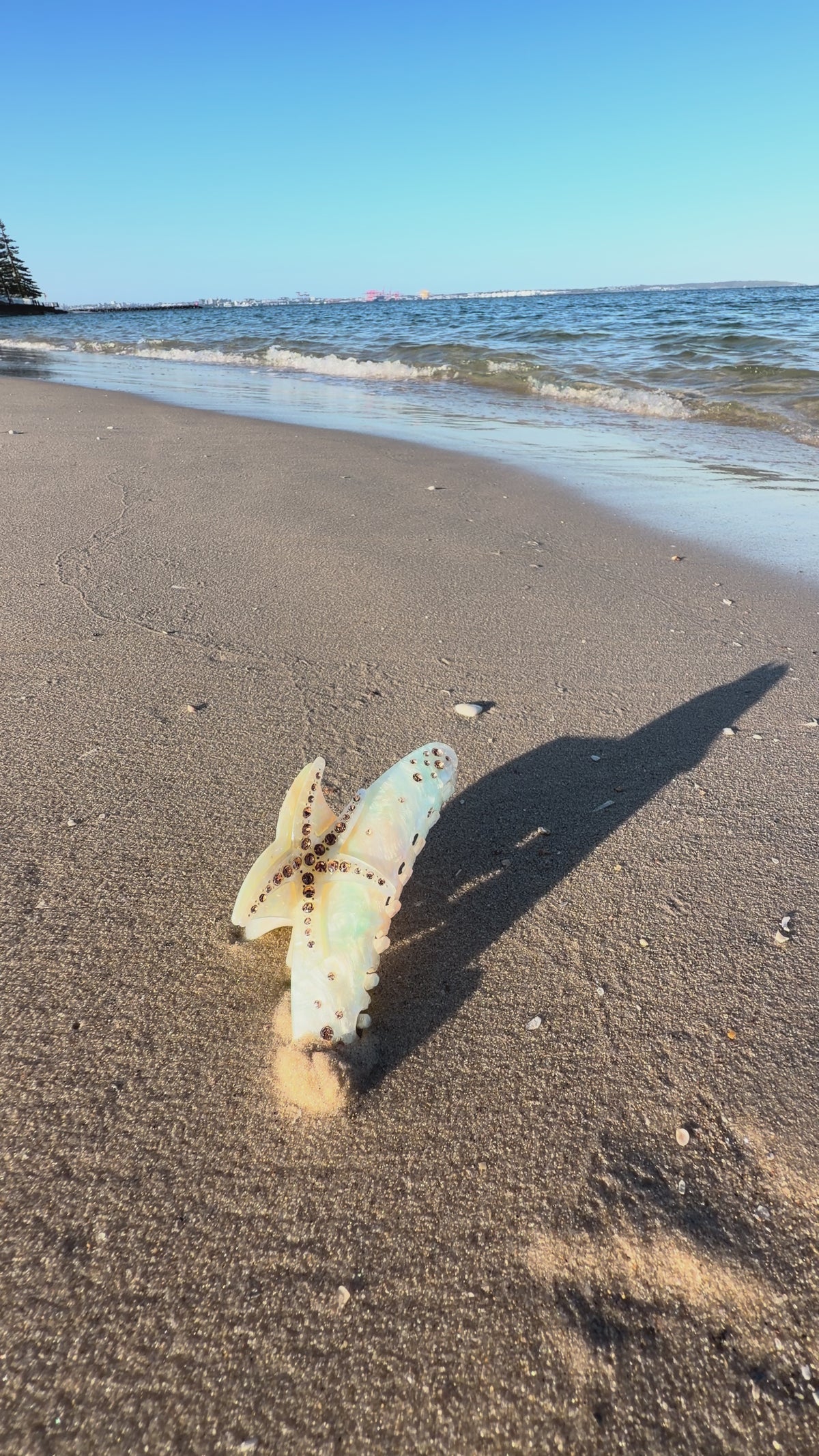 Pearly Starfish Claw Clip
